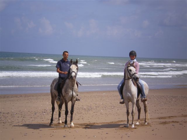 Ranch les 2 gazelles Hotel Commune rurale Arbaa Sahel - Region Mirleft Riad Commune rurale Arbaa Sahel - Region Mirleft :  loisirs